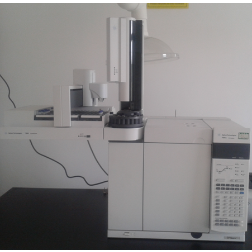 大型仪器  气相色谱仪